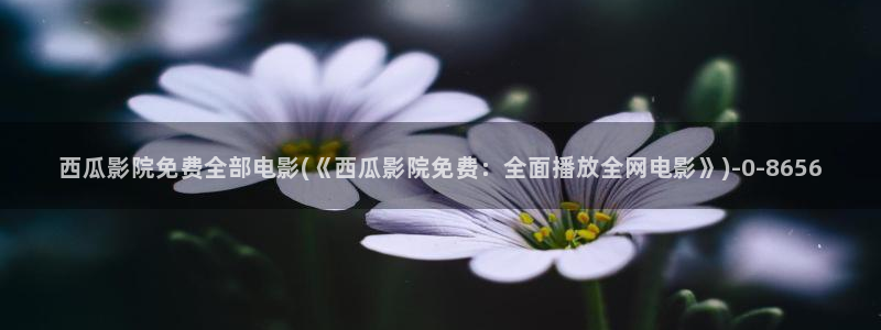 西瓜大片免费播放